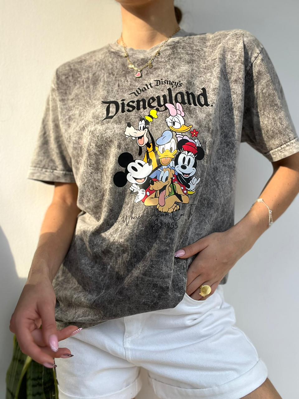 CAMISETA OVERSIZE EFECTO WASHED FAMILY DISNEYLAND