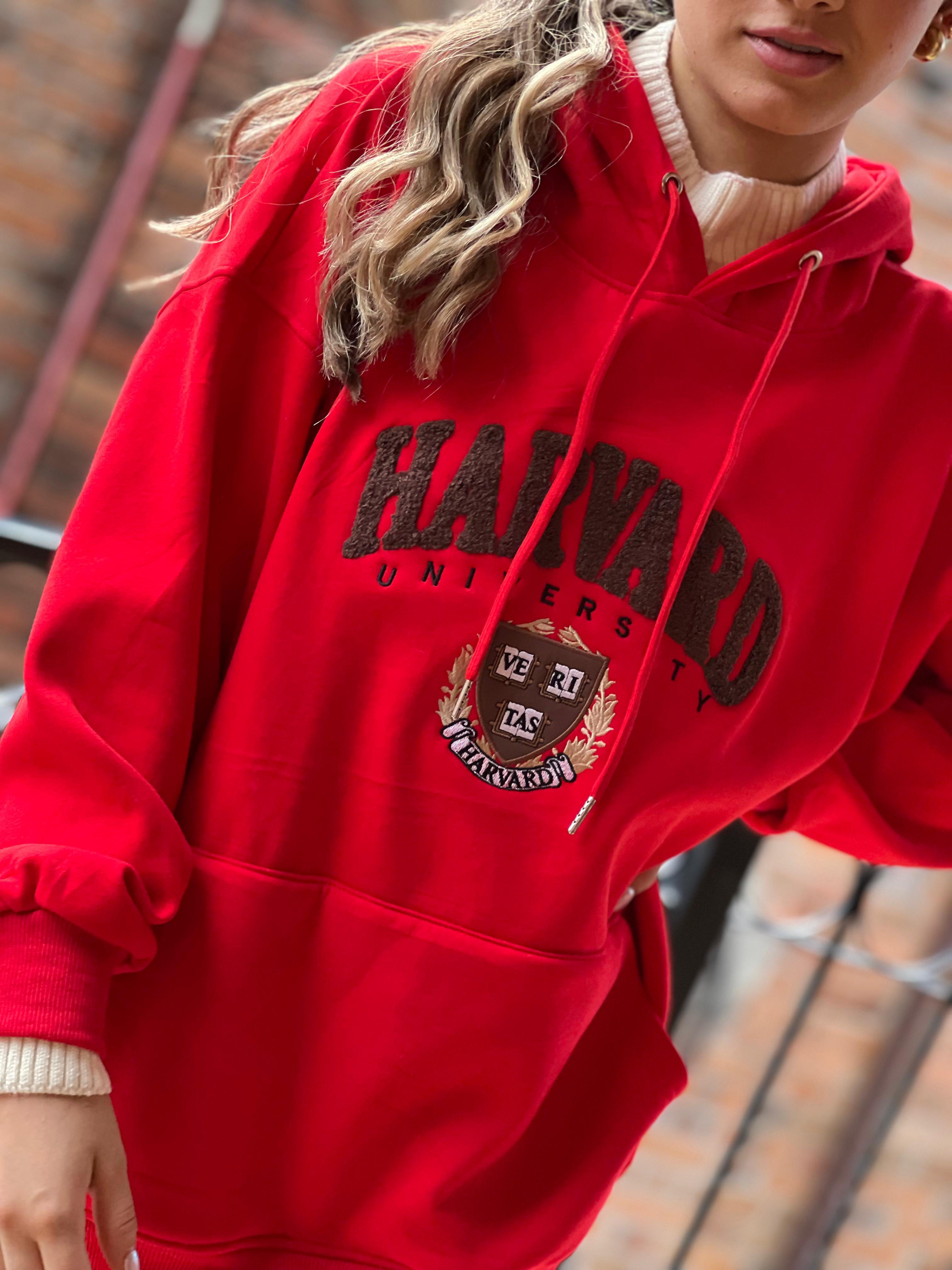 BUZO HARVARD PREMIUM